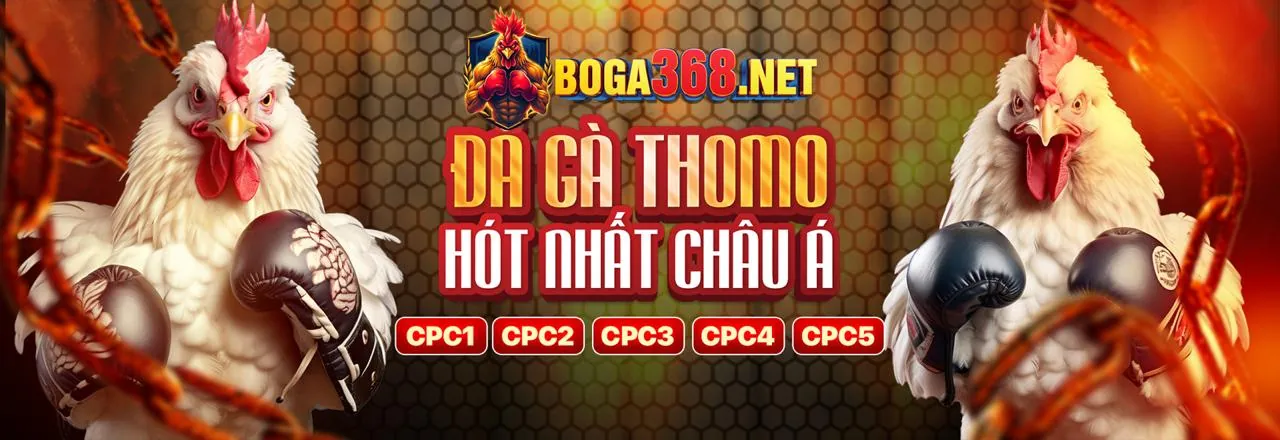 Đá gà kịch tính tại sb88 nổ hũ