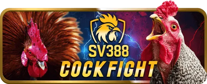 Chương trình VIP với nhiều đặc quyền tại SB88 Nổ Hũ